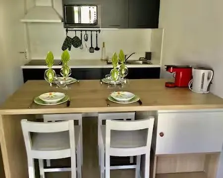 Proche Ocean Dans 3 Etoiles Avec Piscine Et Parking Prive *