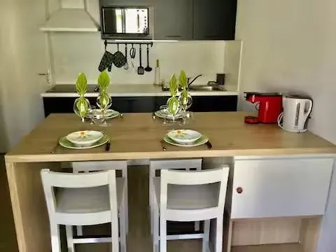 Studio Proche Ocean Dans Residence 3 Etoiles Avec Piscine Et Parking Prive *